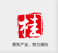 聚焦產(chǎn)業(yè)，努力援桂